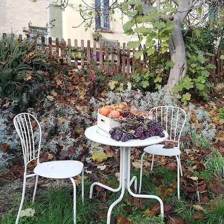 Ex Falegnameria Con Giardino A 100 Mt Sferisterio Apartment Macerata