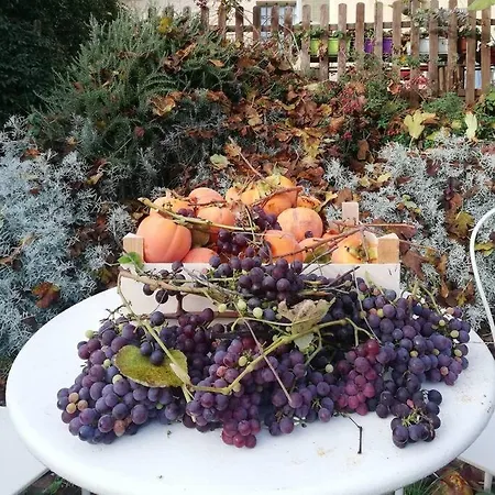 Ex Falegnameria Con Giardino A 100 Mt Sferisterio Apartment Macerata
