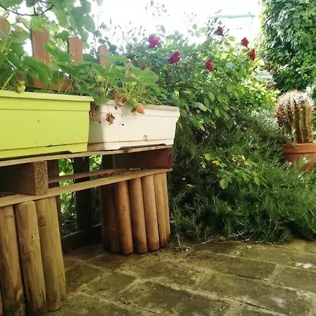 Ex Falegnameria Con Giardino A 100 Mt Sferisterio * Macerata